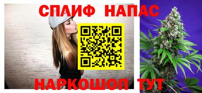spice Новодвинск