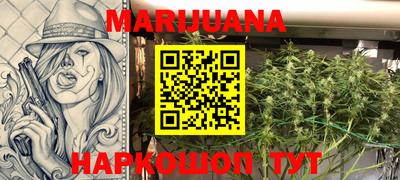 spice Новодвинск