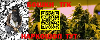 spice Новодвинск