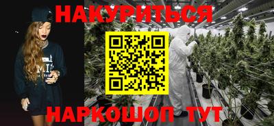 spice Новодвинск